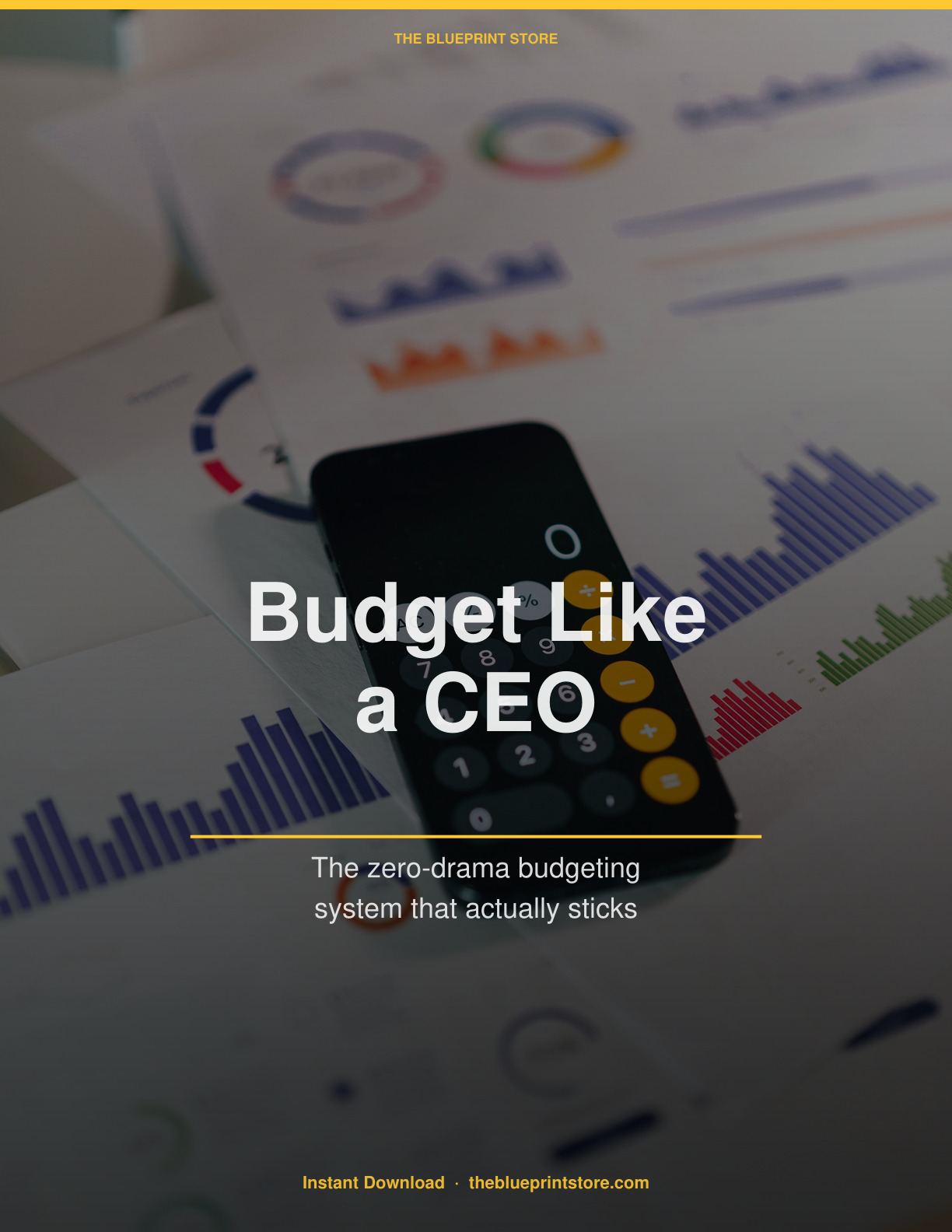 Budget Like a CEO